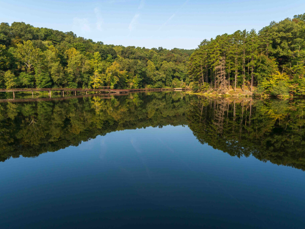 Federal government will put 2,840 acres of Ohio’s only national forest out to bid for fracking