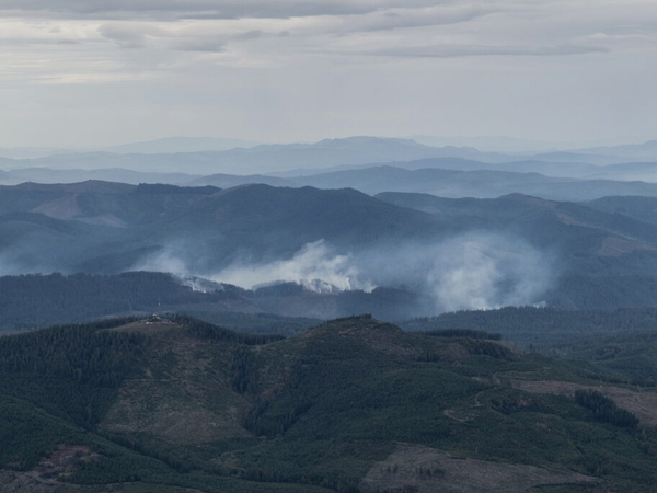 Oregon’s western state forests will see more conservation, less clear cutting under new plan