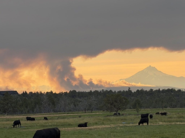 Gov. Kotek presses feds to get Oregon farmers, ranchers same urgent wildfire relief as red states