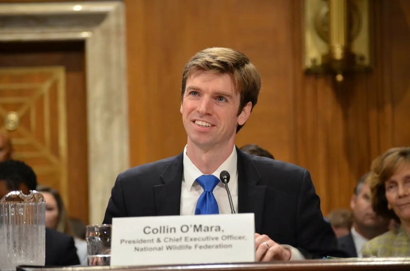 After leading DNREC through the Markell administration, Collin O'Mara became the leader of the National Wildlife Federation, spending many days lobbying and testifying before Congress. | PHOTO COURTESY OF US SENATE