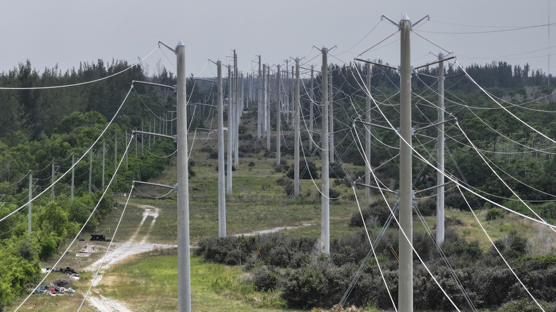 High voltage power lines run along the electrical power grid on May 16, 2024, in West Palm Beach, Florida. The U.S. Senate approved three of President Joe Biden’s nominees to serve on the nation’s top energy regulatory panel this week. Industry, renewable power and environmental groups cheered the vote on the new members of the Federal Energy Regulatory Commission. (Joe Raedle/Getty Images)
