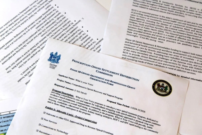The Prescription Opioid Settlement Distribution Commission, a grant-recommending body of appointed volunteers, often had a week or less to review hundreds of pages of applications for recipients of the funds. | SPOTLIGHT DELAWARE PHOTO BY NICK STONESIFER