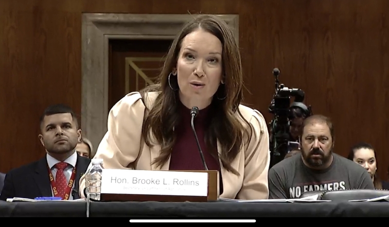 USDA Secretary Brooke Rollins testifies before the U.S. Senate Appropriations Committee on Tuesday, May 6, 2025. (Senate webcast)
