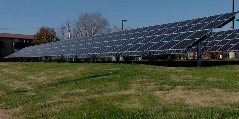 A solar farm in Carbondale, Illinois, in late 2024. (Capitol News Illinois photo by Andrew Campbell)