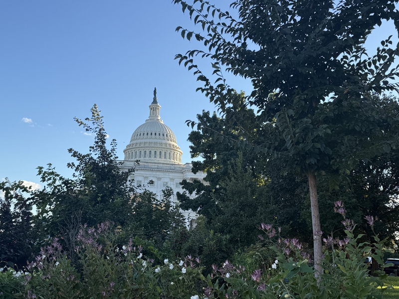 The U.S. Capitol in Washington, D.C (Photo by Jennifer Shutt/States Newsroom)