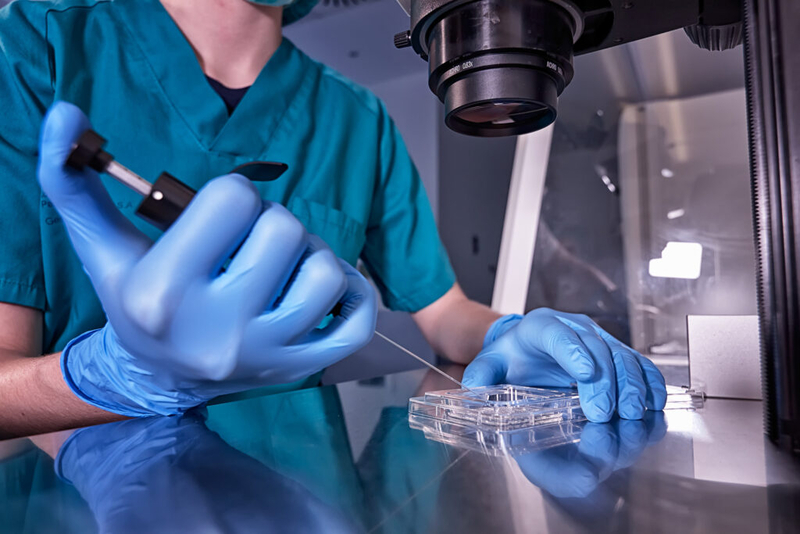 The in vitro fertilization process. (Stock photo by Antonio Marquez lanza/Getty Images)