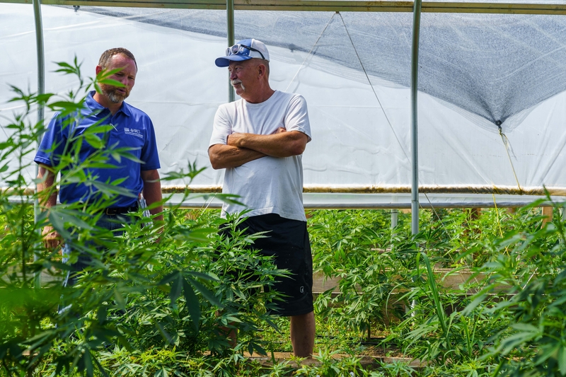 Jeff Garland, right, gives a tour of Papa G’s Organic Hemp Farm in Crawford County, Indiana, on June 23, 2022. Jeff and his son started the farm in 2020.  At left is Lee Schnell of the U.S. Natural Resources Conservation Service, which is part of the U.S. Department of Agriculture.  (NRCS photo by Brandon O’Connor)