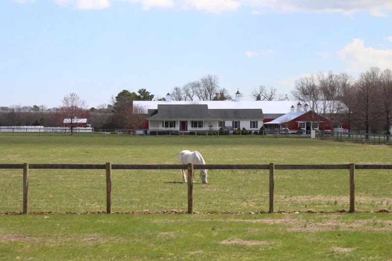 The Belle Mead farm off Route 24 near Lewes in Sussex County | SPOTLIGHT DELAWARE PHOTO BY JACOB OWENS