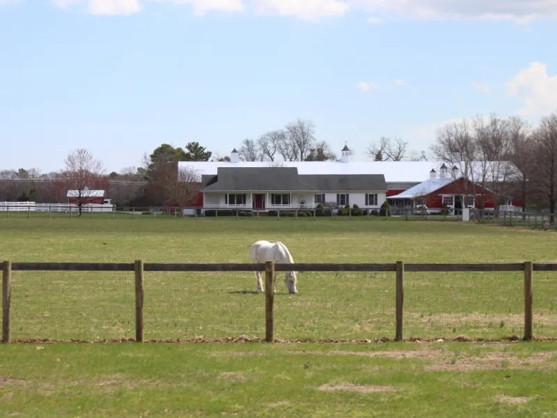 The Belle Mead farm off Route 24 near Lewes in Sussex County | SPOTLIGHT DELAWARE PHOTO BY JACOB OWENS