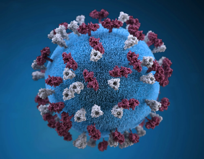 A reported measles exposure at a the Wilmington-area Nemours Children's Hospital could bring the virus to the First State. | PHOTO COURTESY OF THE CDC VIA UNSPLASH