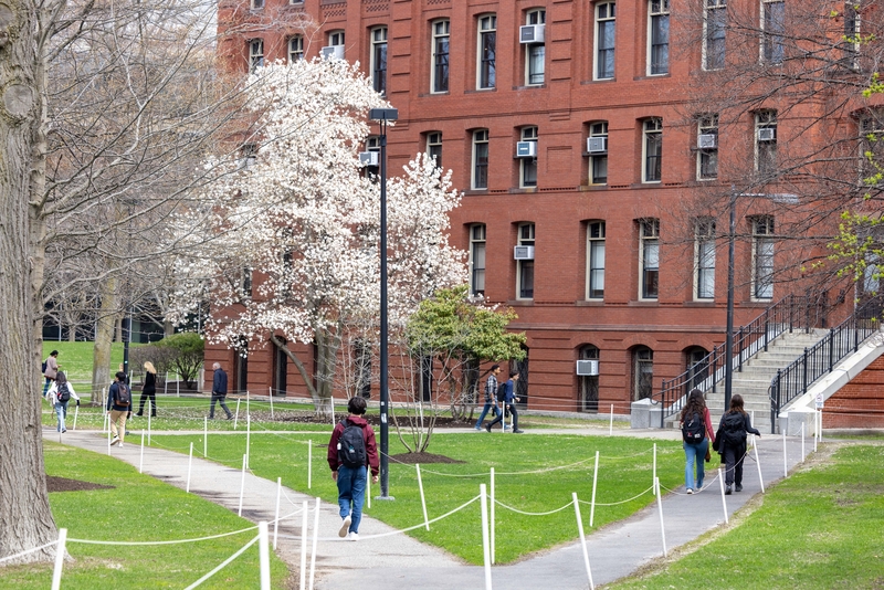 People walk past blooming trees on the Harvard University Campus on April 15, 2025 in Cambridge, Massachusetts. A Trump administration task force announced Monday that it would block Harvard University from receiving $2.2 billion in federal grants and $60 million in contracts after the Ivy League school defied demands to adopt new policies on student and faculty conduct and admissions. (Photo by Scott Eisen/Getty Images)