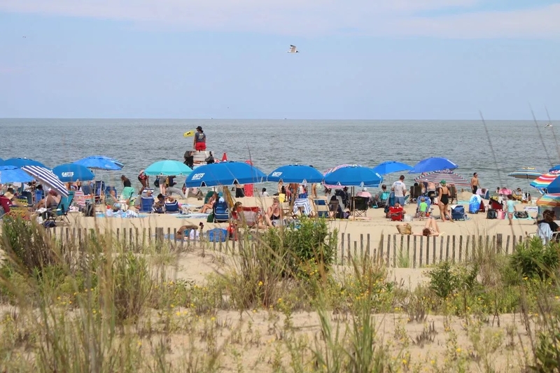 Replenishment of the sand and dunes at Rehoboth Beach will be delayed after federal funding cuts. | SPOTLIGHT DELAWARE PHOTO BY JACOB OWENS