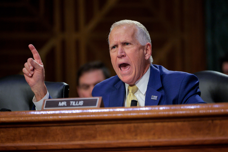 Tillis Noem hearing