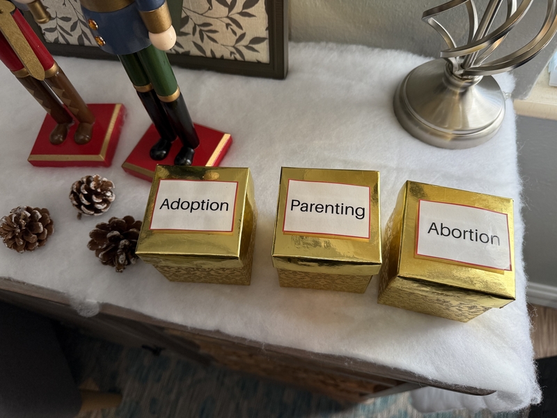 A set of boxes at a crisis pregnancy center in Wakulla County, Florida, with information about each option for a pregnancy. Two states, Kansas and Wyoming, recently enacted a law preventing government regulation of crisis pregnancy centers based on model legislation from conservative legal advocacy group Alliance Defending Freedom. (Photo by Nada Hassenein/Stateline)