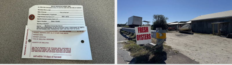 Left: Shellfish tags used to keep track of where and when shellfish is harvested. Zoya Teirstein / Grist. Right: A sign advertises oysters for sale in Cedar Key, Florida. Zoya Teirstein / Grist