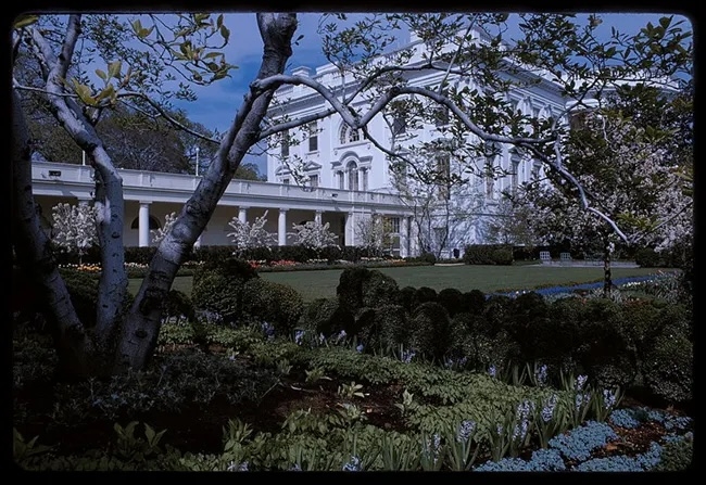 The Rachel Lambert Mellon-designed Rose Garden during the John F. Kennedy administration in 1963, in a collection by the White House Historical Associaion. (Photo courtesy National Park Service)