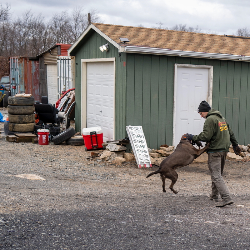 Bernie Gardula walking his dog, Jade.