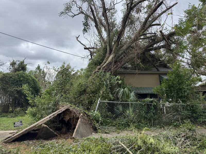 A tree from the neighboring lot fell on Darryl Sweet's home in Pensacola, Florida, during Hurricane Isaias on Oct. 9, 2026.
