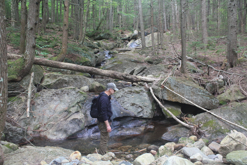 Jeff Swayze, a mental health counselor and registered New Hampshire guide, stands in a stream bed along the Wheeler Brook trail in Maine. The area is currently protected from development by the federal roadless rule. (Photo by Kaitlyn Budion/Maine Morning Star)