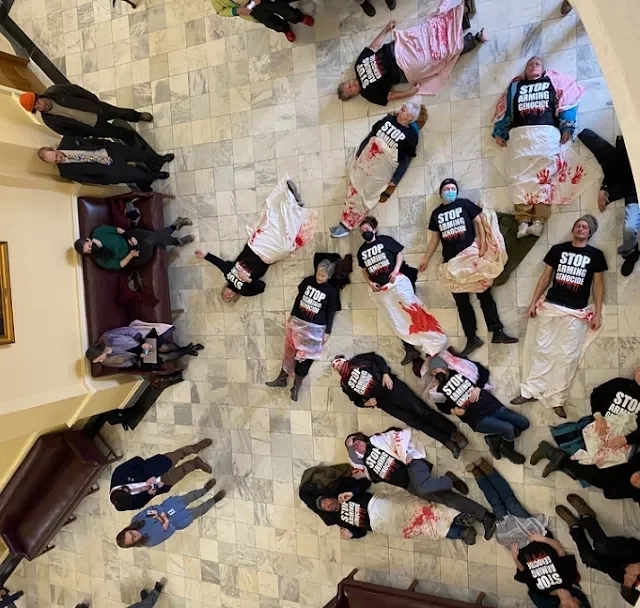 Activists hold State House die-in over Gaza, protest subsidies to General Dynamics