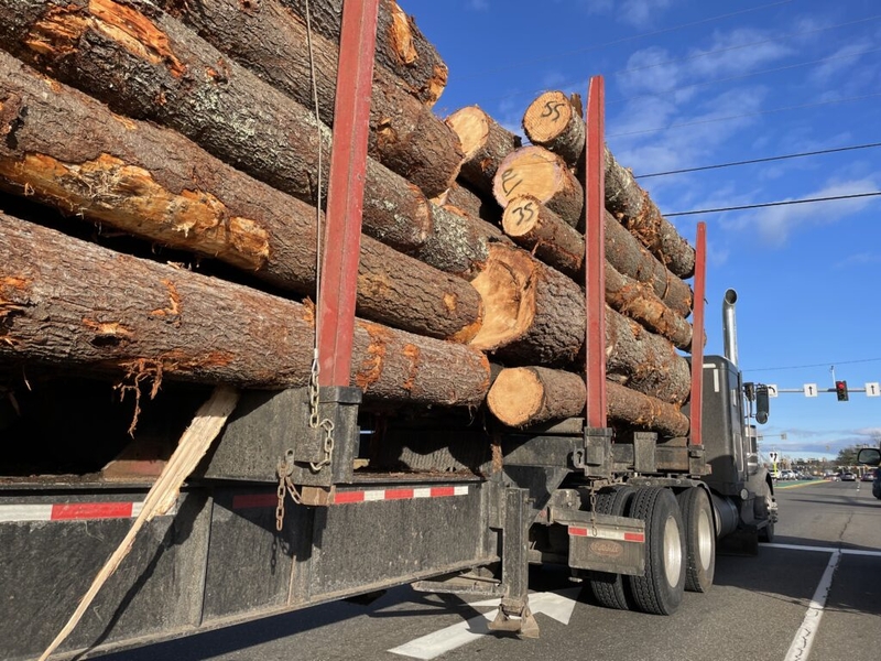 Collins warns Canadian tariffs will hit $170M in Maine goods, urges return to negotiations