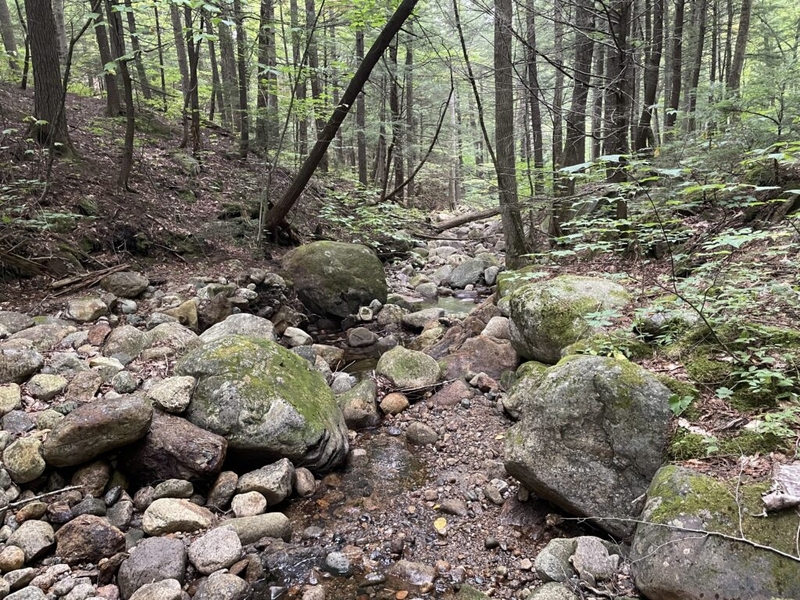 Despite recent rain, drought has reached all areas of Maine