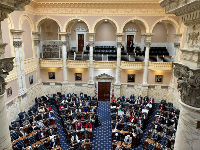 Busy Saturday: House passes Trans Health Equity Act, advances price-gouging and data protections, backs a new state spirit