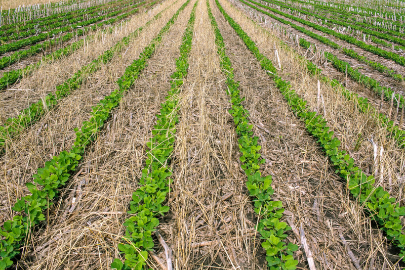 State seeks federal aid for farmers for ‘catastrophic damage’ to crops in April freeze