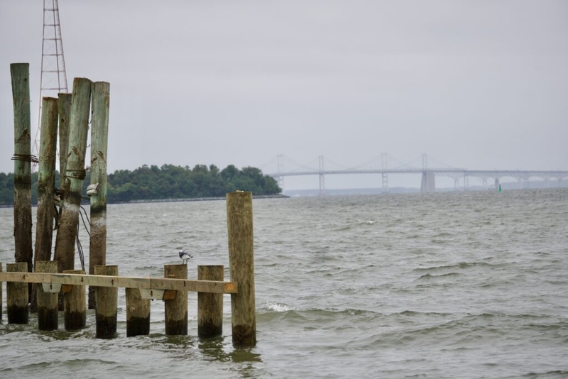 Maryland officials grapple with ‘bizarre’ Trump executive order on Chesapeake Bay