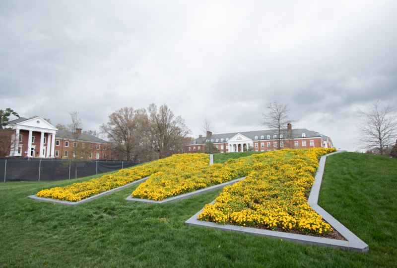 Moore offers late admission, $800 credit for students disenrolled at Howard University