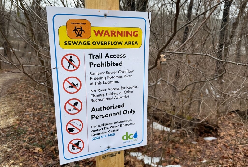 Maryland, Justice Department sue DC Water over Potomac sewage spill