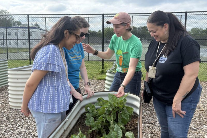 Schoolyard farm showcases community resilience