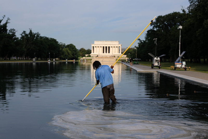 When your local reflecting pool or pond turns green with algae nature has better solutions