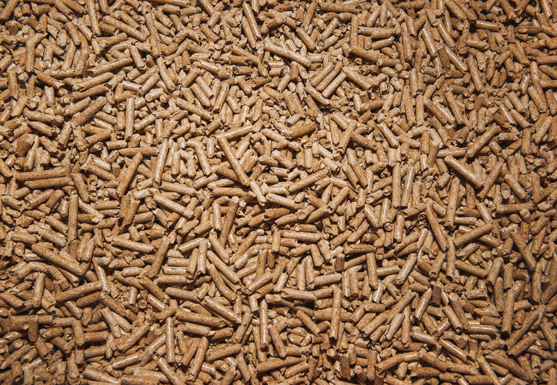 Senate Bill 171 carves out exemption for wood pellet industry, up for a vote today