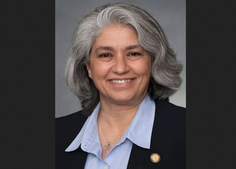 Senator Lisa Grafstein discusses the state budget debate and an effort to curb voting rights