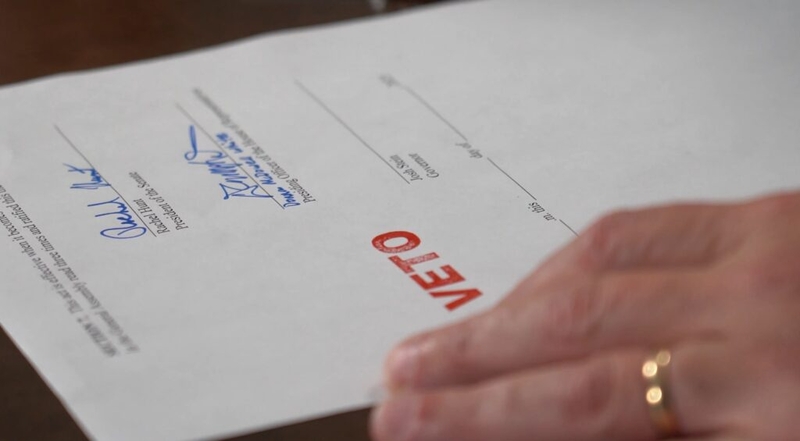 Gov. Stein vetoes bills banning DEI in schools, universities, and state government