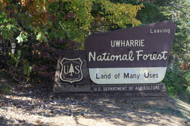 North Carolina’s Uwharrie National Forest secures $1M USDA investment