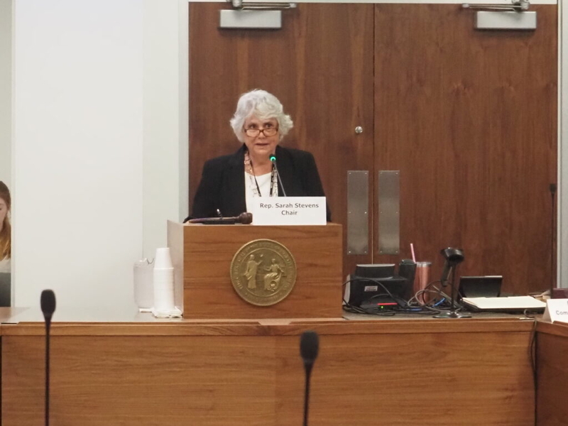 Rep. Sarah Stevens resigns from NC House to focus on Supreme Court race