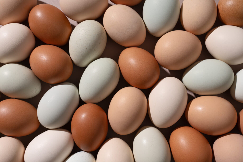 No yolk: NC AG Jeff Jackson settles antitrust lawsuit for 3 million eggs