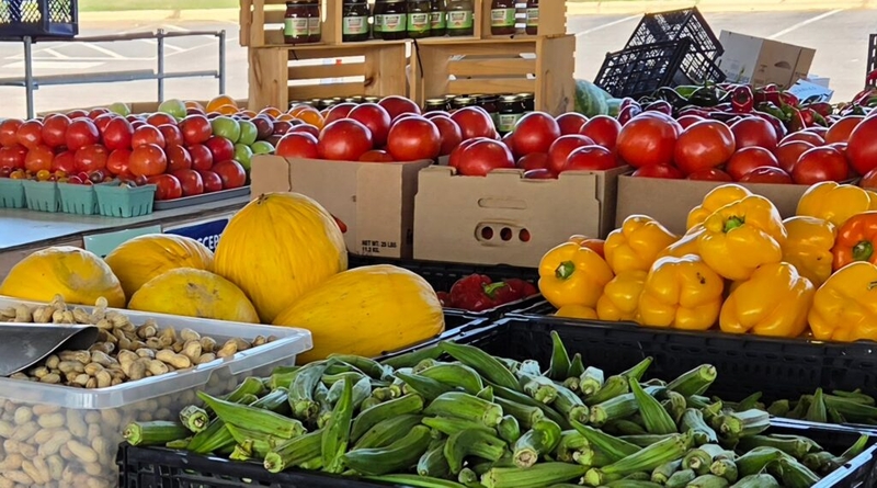 Hunger crisis widens in North Carolina as food banks face more demand, federal cuts