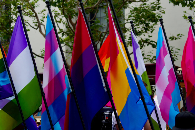 LGBTQ+ adults more likely to miss or forgo healthcare, survey finds