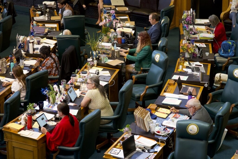 A record number of women are running for state legislatures this year