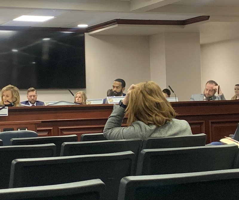 Florida six-week abortion bill passes first test in the House, ends with tears and anger