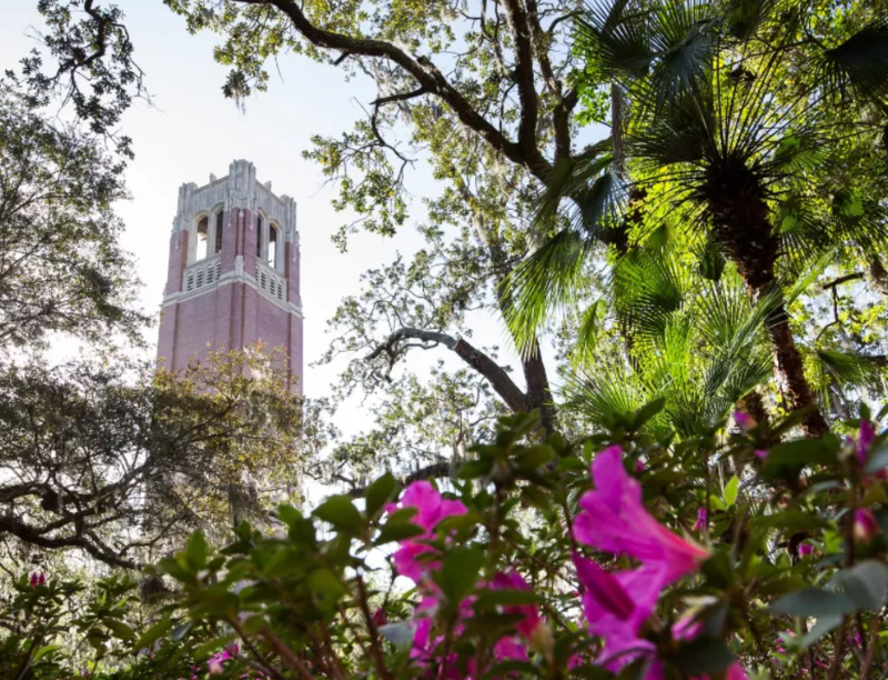 State to study return on investment of Women/Gender Studies programs