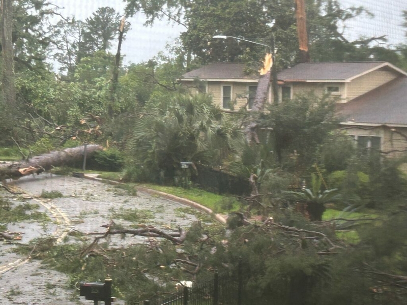 One dead, more than 80,000 without power in Tallahassee after severe ...