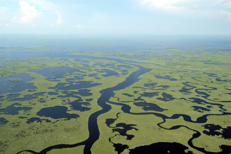 Trump vetoes Miccosukee flood protection, citing tribe’s opposition to ‘Alligator Alcatraz’