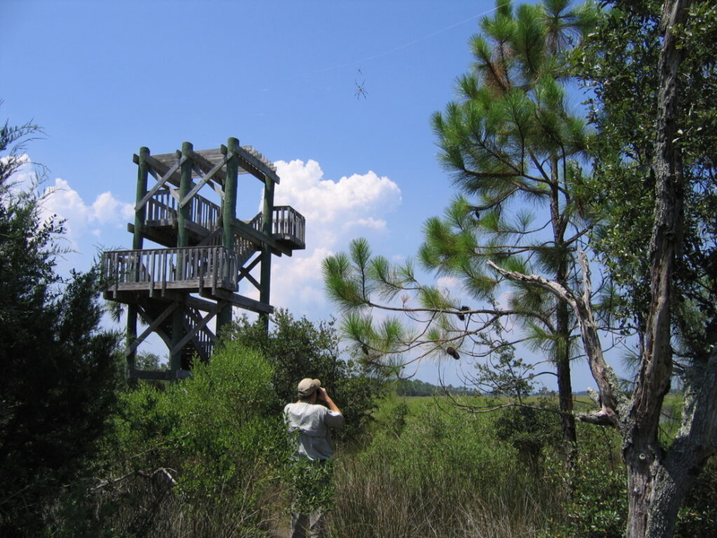 Gov. DeSantis’ latest plan to hand over preserved land united Florida – against him