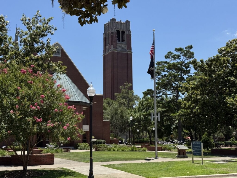 Most Florida universities fell in national rankings, per U.S. News &amp; World Report