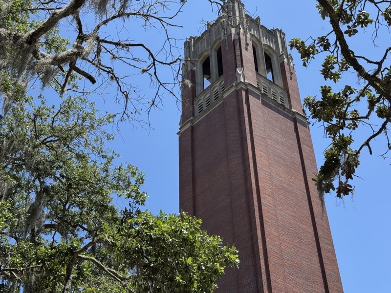 Some in Gator Nation are growling about UF presidential pick Stuart Bell and his positions on DEI