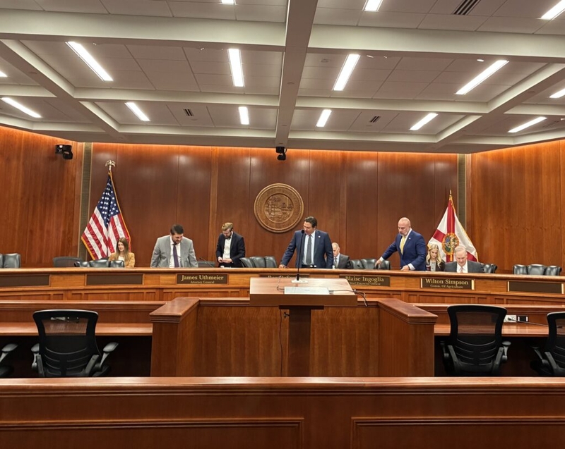 DeSantis, Cabinet OK $14 million in state money for immigration enforcement
